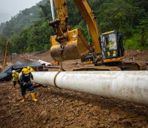 Petroecuador transporta un promedio de 11.900 barriles diarios de crudo colombiano.