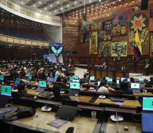 La norma también actualiza las penas por el delito de trata de personas en el COIP.