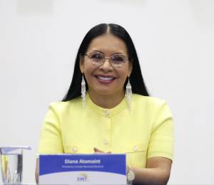 Diana Atamaint abandona el CNE.