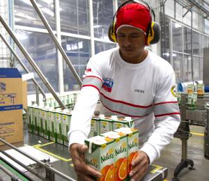 Colaborador de línea productiva de Natura, adquirida por Gloria Foods.