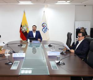 Sesión del Consejo de Participación Ciudadana y Control Social presidida por Andrés Fantoni.