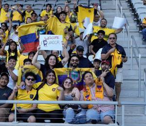 La investigación, realizada en seis países de la región, muestra que el interés por el fútbol va más allá de ver los partidos desde casa.