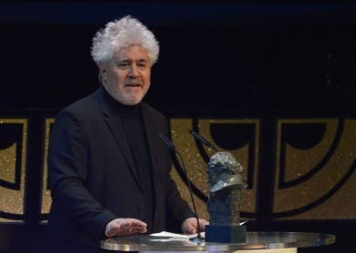 29ª edición de los premios Goya de España