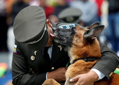Ceremonia de perros policía jubilados