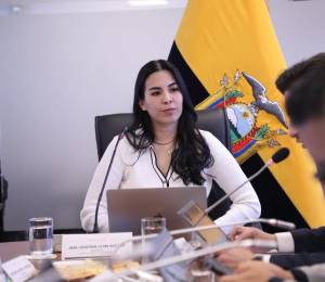 Fotografía que muestra a Guim presidiendo la Comisión de Salud de la Asamblea Nacional.