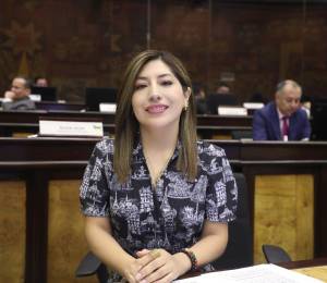La asambleísta de ADN, Inés Alarcón.
