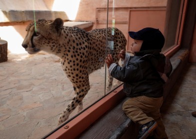 El reino animal en los zoológicos del mundo