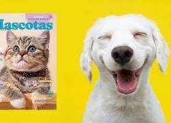 Revista MASCOTAS llega a todas las tiendas de Supermaxi y Mi Comisariato del Ecuador