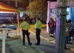 Dos maleantes asesinaron a un hombre con antecedentes en medio de una feria navideña.