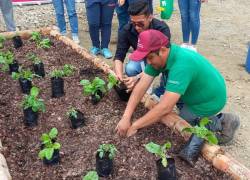 Por medio de un huerto orgánico de 500 metros cuadrados, se plantarán especies vegetales, cuya cosecha será donada a fundaciones de ayuda social de Guayaquil.