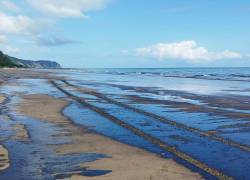 1.200 barriles de petróleo se derramaron en la playa de Esmeraldas; Petroecuador investiga posible sabotaje