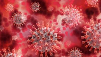 Detectan nueva variante de COVID-19 potencialmente más contagiosa y con múltiples mutaciones Detectan nueva variante de COVID-19 potencialmente más contagiosa y con múltiples mutaciones