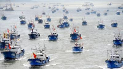 ¿Cómo proteger a Galápagos y salvar los océanos? ¿Cómo proteger a Galápagos y salvar los océanos?