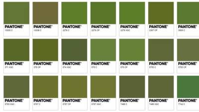 Conozca la función del color más feo del mundo Conozca la función del color más feo del mundo