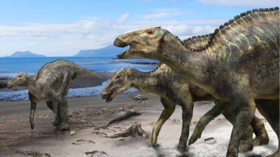 Descubren “El Dios dragón”, nueva especie de dinosaurio en Japón Descubren “El Dios dragón”, nueva especie de dinosaurio en Japón