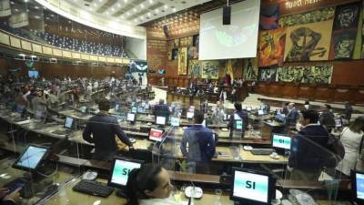 Asamblea concede amnistías a 268 personas, entre ellos varios líderes indígenas Asamblea concede amnistías a 268 personas, entre ellos varios líderes indígenas