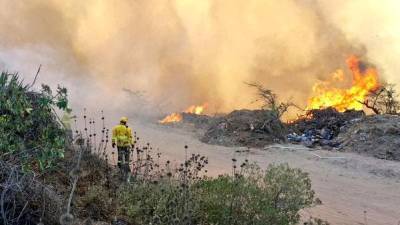 Una nube de humo cubre a Quito tras 19 incendios forestales