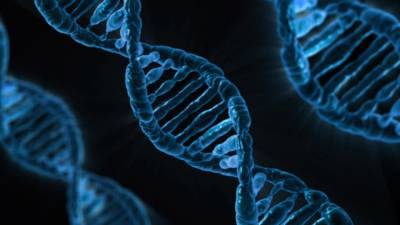 Descubren un método mejor para modificar el ADN Descubren un método mejor para modificar el ADN