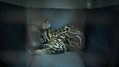 La ecuatoriana María Portaluppi fue finalista en los Sony World Photography Awards por su mirada ambiental La ecuatoriana María Portaluppi fue finalista en los Sony World Photography Awards por su mirada ambiental