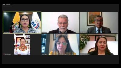 CNE unifica las elecciones anticipadas y la consulta popular del Yasun&iacute; 