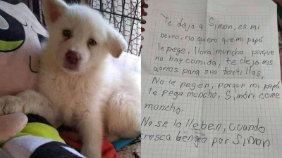 Niño dejó a su perro en un albergue porque era maltratado y continúa enviándole cartas Niño dejó a su perro en un albergue porque era maltratado y continúa enviándole cartas