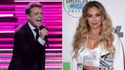 Luis Miguel responde a la demanda por pensi&oacute;n de alimentos impuesta por Aracely Ar&aacute;mbula 