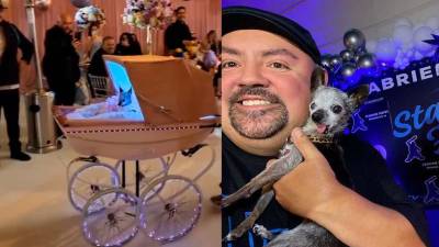 Comediante estadounidense invierte 100 mil dólares en una quinceañera para su chihuahua Comediante estadounidense invierte 100 mil dólares en una quinceañera para su chihuahua