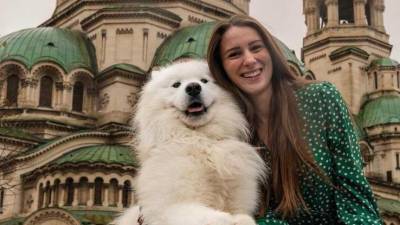 Félix, el samoyedo blanco que conquista las redes con sus aventuras viajeras Félix, el samoyedo blanco que conquista las redes con sus aventuras viajeras