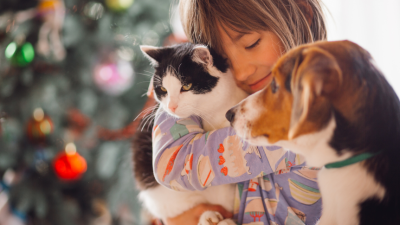 "Güeyitas Xperience": un evento para concientizar sobre el bienestar animal "Güeyitas Xperience": un evento para concientizar sobre el bienestar animal