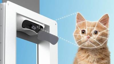 Tecnolog&iacute;a: Puertas con reconocimiento facial para mascotas 