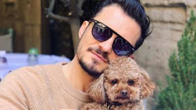 Orlando Bloom da por muerto a Mighty, su perrito desaparecido, y se tatúa su nombre en el pecho Orlando Bloom da por muerto a Mighty, su perrito desaparecido, y se tatúa su nombre en el pecho