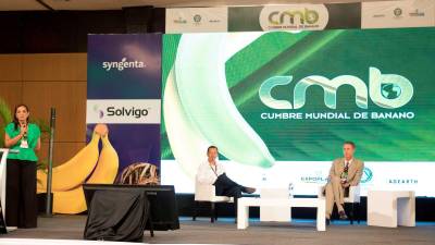 La Cumbre Banano 2025 abordará temas críticos para el futuro del sector La Cumbre Banano 2025 abordará temas críticos para el futuro del sector
