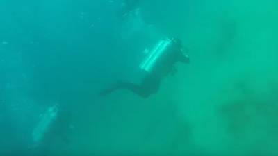 Buzo capta el preciso momento de un sismo en el fondo del mar