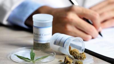 Las propiedades medicinales del cannabis y los retos para obtener un tratamiento en Ecuador Las propiedades medicinales del cannabis y los retos para obtener un tratamiento en Ecuador
