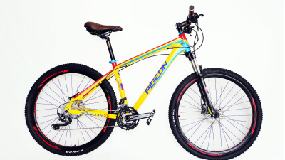 Migrante compr&oacute; la bicicleta que le regal&oacute; Xi Jinping a Correa
