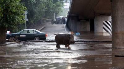 El Jumanji de Tiflis, en imágenes El Jumanji de Tiflis, en imágenes