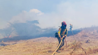 Suben a cuatro los incendios forestales que acechan a Quito y lo cubren de humo Suben a cuatro los incendios forestales que acechan a Quito y lo cubren de humo