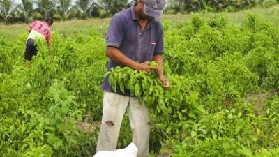 Empresas y actores privados buscan propuestas para reactivar la producción ecuatoriana Empresas y actores privados buscan propuestas para reactivar la producción ecuatoriana