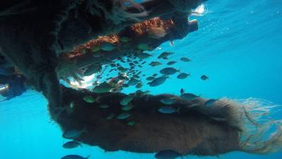 Galápagos fue la sede de evento para avanzar hacia la pesca sostenible Galápagos fue la sede de evento para avanzar hacia la pesca sostenible