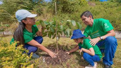 Empresas reafirman su compromiso sostenible con actividad de reforestación Empresas reafirman su compromiso sostenible con actividad de reforestación