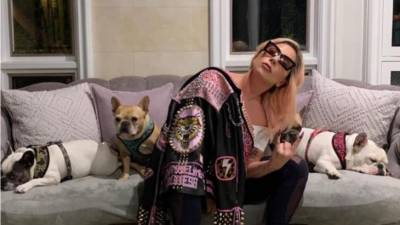 Secuestradores de los perros de Lady Gaga demandan a la artista por no pagar el rescate Secuestradores de los perros de Lady Gaga demandan a la artista por no pagar el rescate
