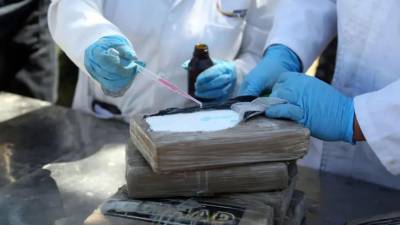 Producción mundial de cocaína alcanza un nuevo récord y se cuadruplica en una década, según informe de la ONU Producción mundial de cocaína alcanza un nuevo récord y se cuadruplica en una década, según informe de la ONU