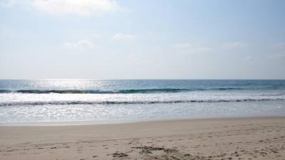 Ocean weekend en Ecuador: evento abierto al público para quienes buscan proteger los oceános Ocean weekend en Ecuador: evento abierto al público para quienes buscan proteger los oceános