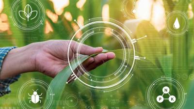 Agricultura de precisión puede mitigar los efectos de El Niño en los cultivos Agricultura de precisión puede mitigar los efectos de El Niño en los cultivos
