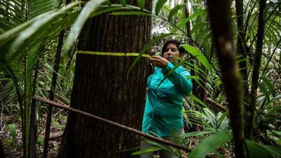 Ecuador recibirá 30 millones de dólares para proyectos de conservación del ambiente Ecuador recibirá 30 millones de dólares para proyectos de conservación del ambiente