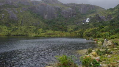 Hallada una nueva especie de anfibio en Parque Yacurí Hallada una nueva especie de anfibio en Parque Yacurí