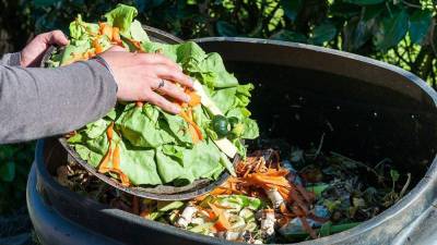 En Ecuador se desperdician 939.000 toneladas de alimentos por año En Ecuador se desperdician 939.000 toneladas de alimentos por año
