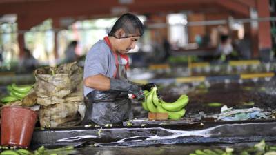 MAG anuncia acciones inmediatas para apoyar al sector bananero MAG anuncia acciones inmediatas para apoyar al sector bananero