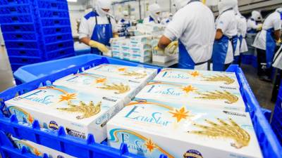 Camarón ecuatoriano enfrenta nueva realidad productiva y comercial Camarón ecuatoriano enfrenta nueva realidad productiva y comercial