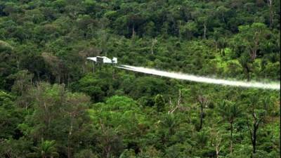Procurador colombiano apoya reanudar fumigación con glifosato Procurador colombiano apoya reanudar fumigación con glifosato